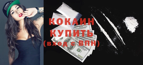 ГАЛЛЮЦИНОГЕННЫЕ ГРИБЫ Горно-Алтайск