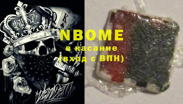 ГАЛЛЮЦИНОГЕННЫЕ ГРИБЫ Горно-Алтайск