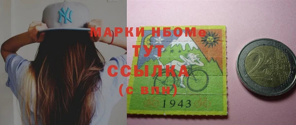 ECSTASY Горняк