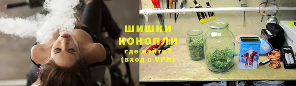 ECSTASY Горняк
