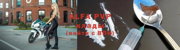 ГАЛЛЮЦИНОГЕННЫЕ ГРИБЫ Горно-Алтайск
