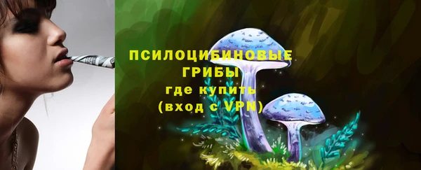 ECSTASY Горняк