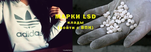 ГАЛЛЮЦИНОГЕННЫЕ ГРИБЫ Горно-Алтайск