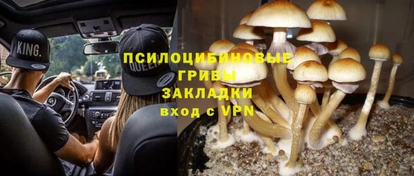 ECSTASY Горняк