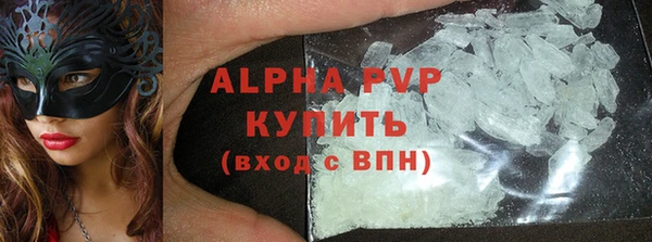 ECSTASY Горняк