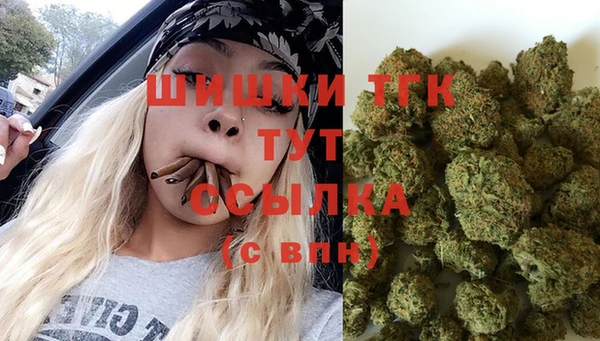 ГАЛЛЮЦИНОГЕННЫЕ ГРИБЫ Горно-Алтайск