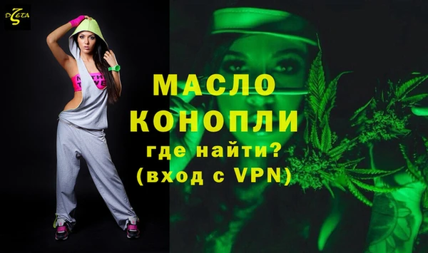 ECSTASY Горняк